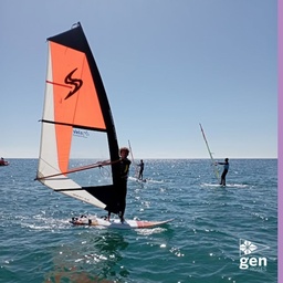 Solicitud de Alquiler de Windsurf